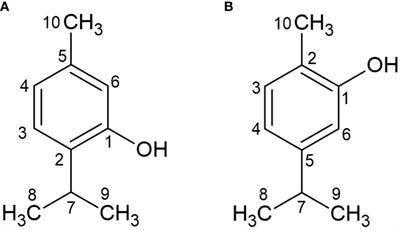 Oregano essential oil and its main components Thymol and Carvacrol as alternatives to control citrus canker